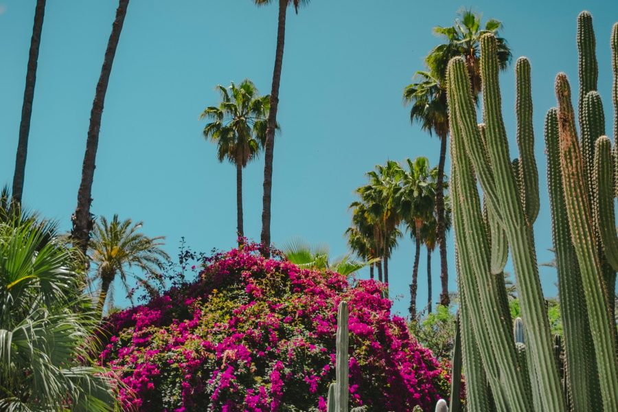 View of Marrakech’s medina with colorful souks and Koutoubia Mosque during a private 7-day Morocco tour