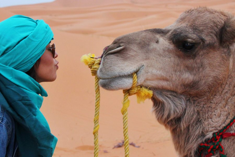 Ouzoud Waterfalls Day Trip