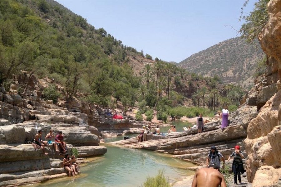 Traveler swimming in the natural turquoise pools of Paradise Valley, surrounded by palm trees and rocky cliffs.